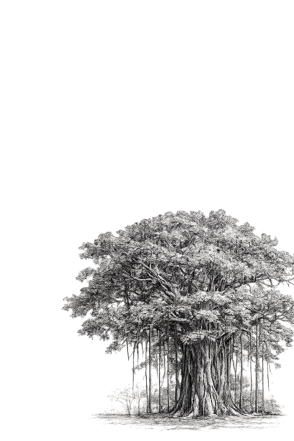 peepal tree